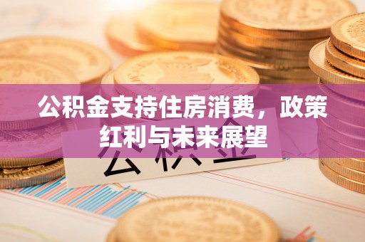 汐止公积金支持住房消费，政策红利与未来展望