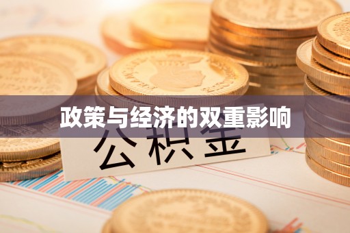 汐止政策与经济的双重影响