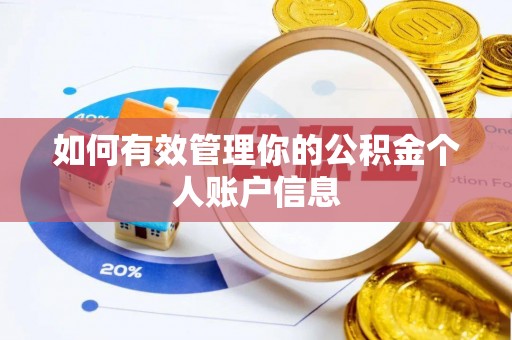 汐止如何有效管理你的公积金个人账户信息