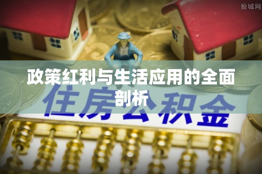 汐止政策红利与生活应用的全面剖析