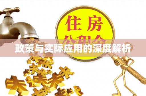 汐止政策与实际应用的深度解析